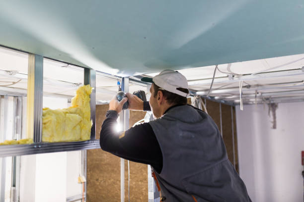 Best Insulation Maintenance and Repair in Falls Church, VA